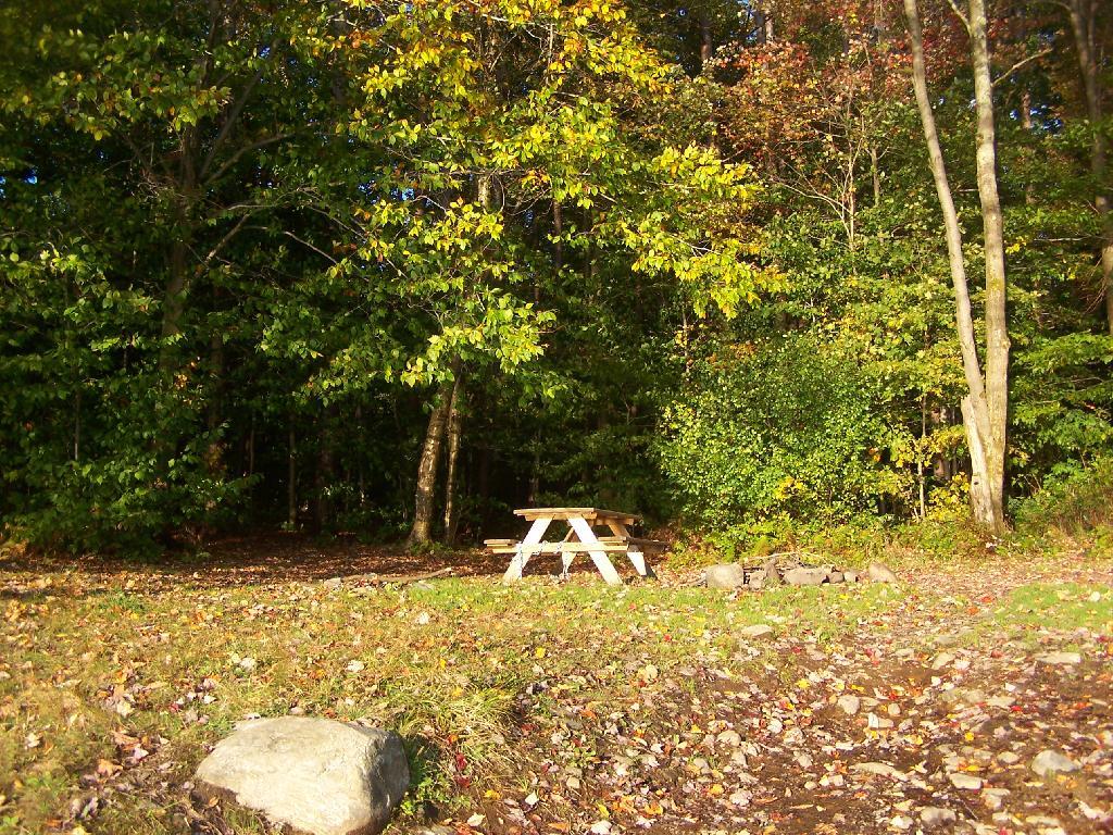 Photo: Picnic Table Photo: Picnic Table