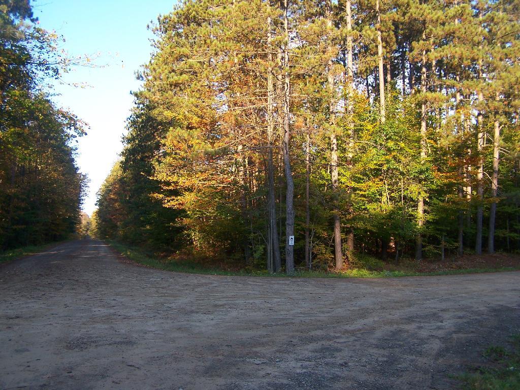 Photo: Private Timber Planation Photo: Private Timber Planation