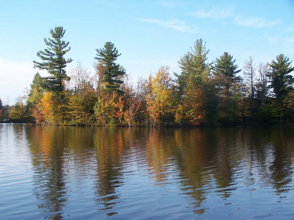 Photo: Fall Colors Along the Reservoir