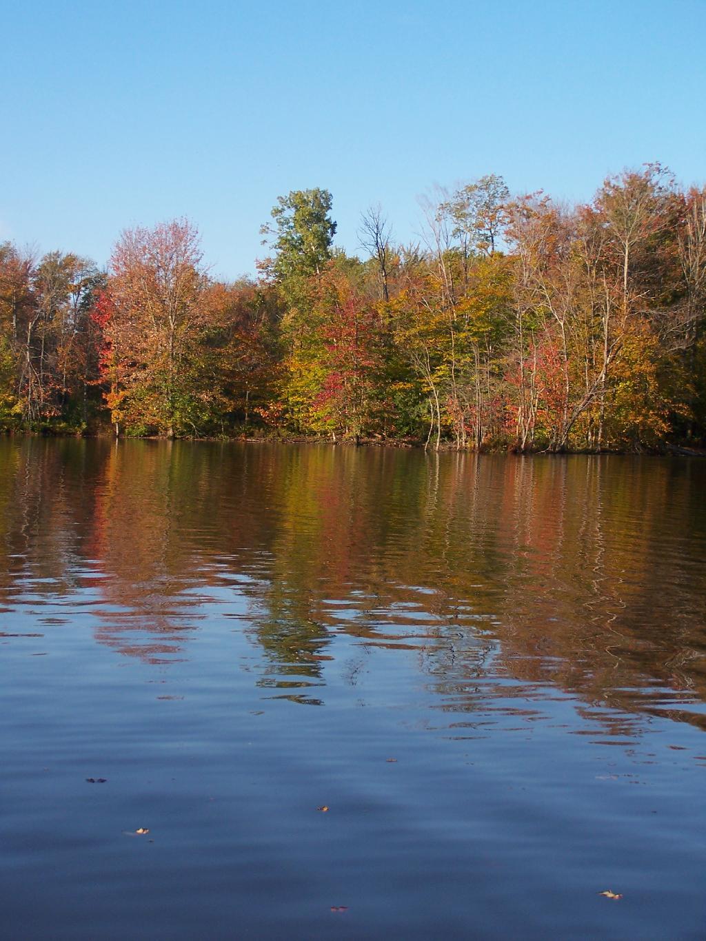 Photo: Fall Colors Photo: Fall Colors