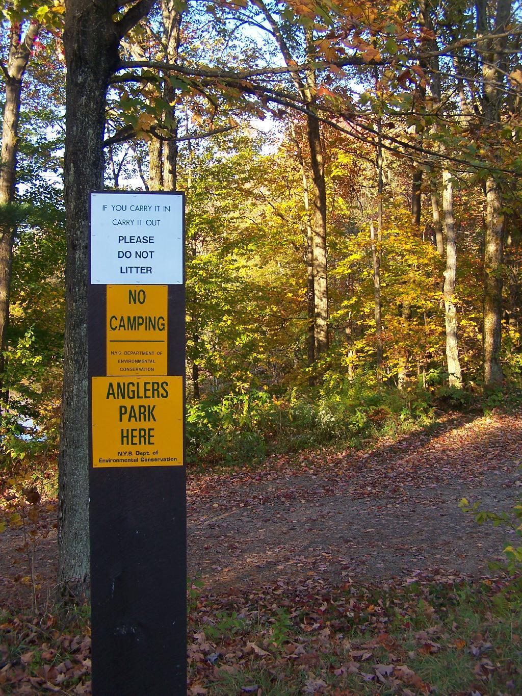 Photo: No Camping on Jackson Road