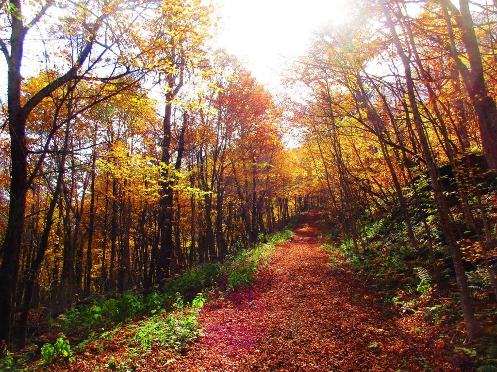 Photo: Despite the Gravel Road, It's a Vigourous Hike