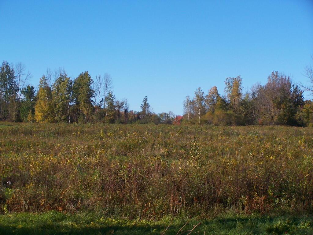 Photo: Fields Photo: Fields