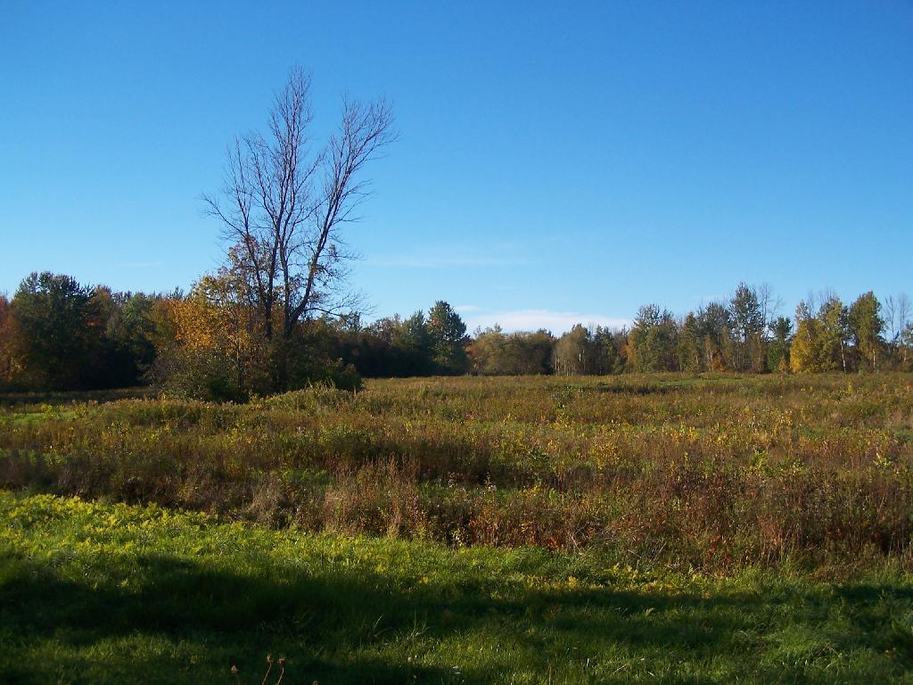Photo: Mid-Fall Colors Photo: Mid-Fall Colors