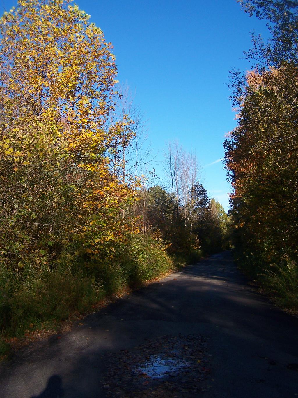 Photo: North Entry Road Photo: North Entry Road