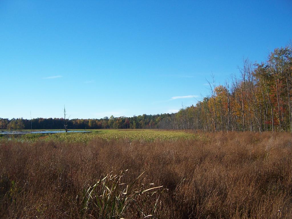 Photo: Hundred Acre Marsh Photo: Hundred Acre Marsh