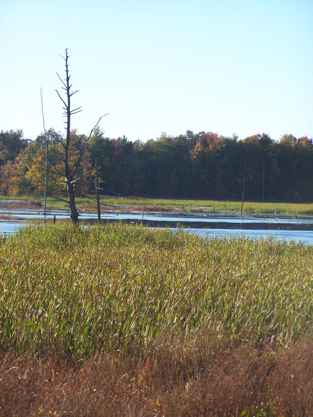 Photo: Marsh Photo: Marsh