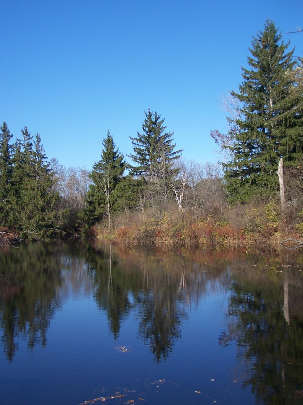Photo: Pond Photo: Pond