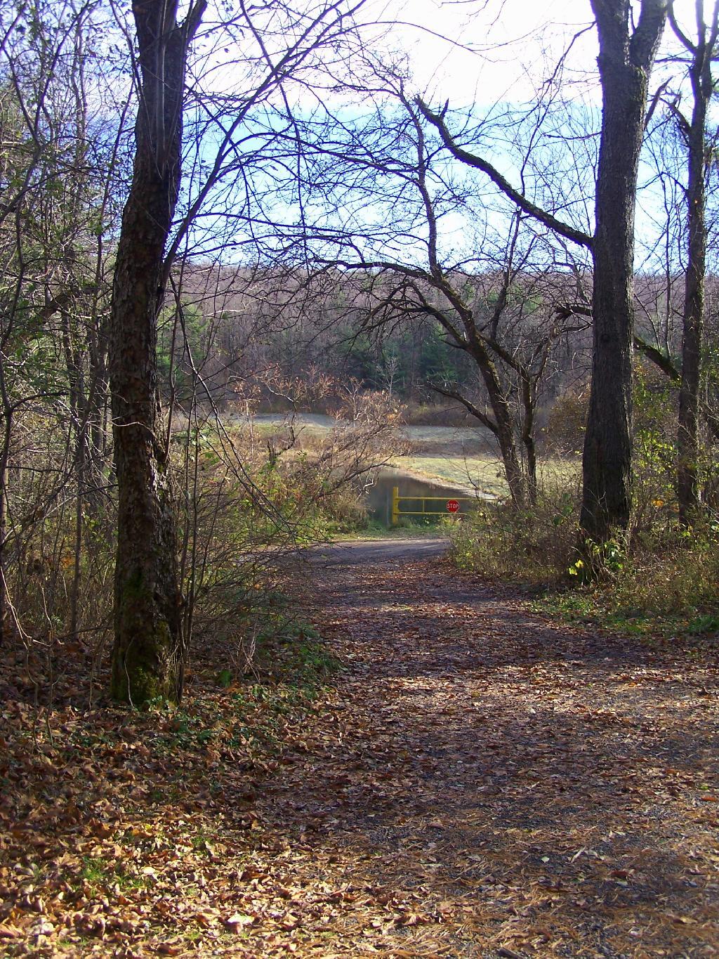 Photo: Path Down to Stoney Pond Photo: Path Down to Stoney Pond
