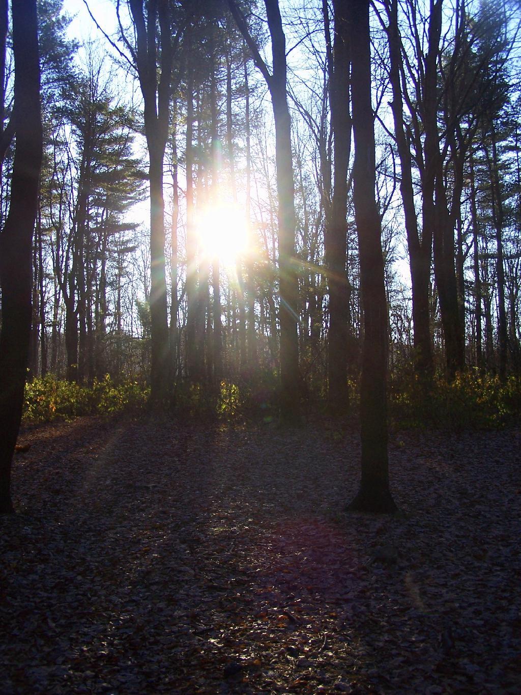 Photo: Sunrise Photo: Sunrise