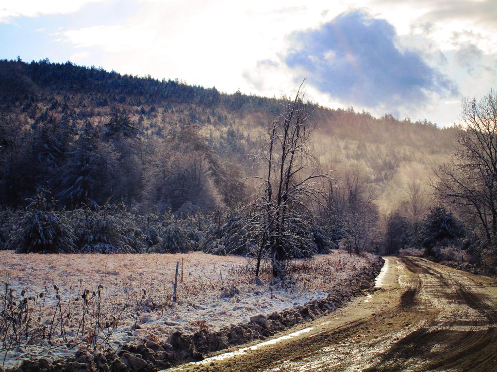 Photo: Frosty Morning