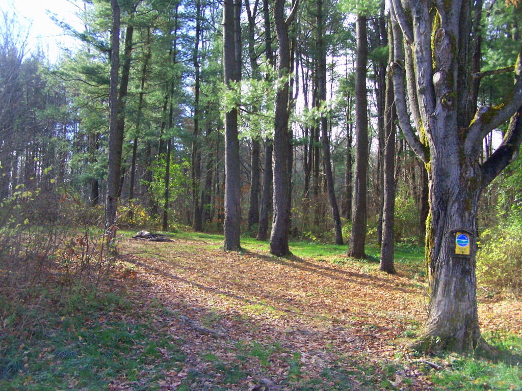 Photo: Campsite 4 Photo: Campsite 4