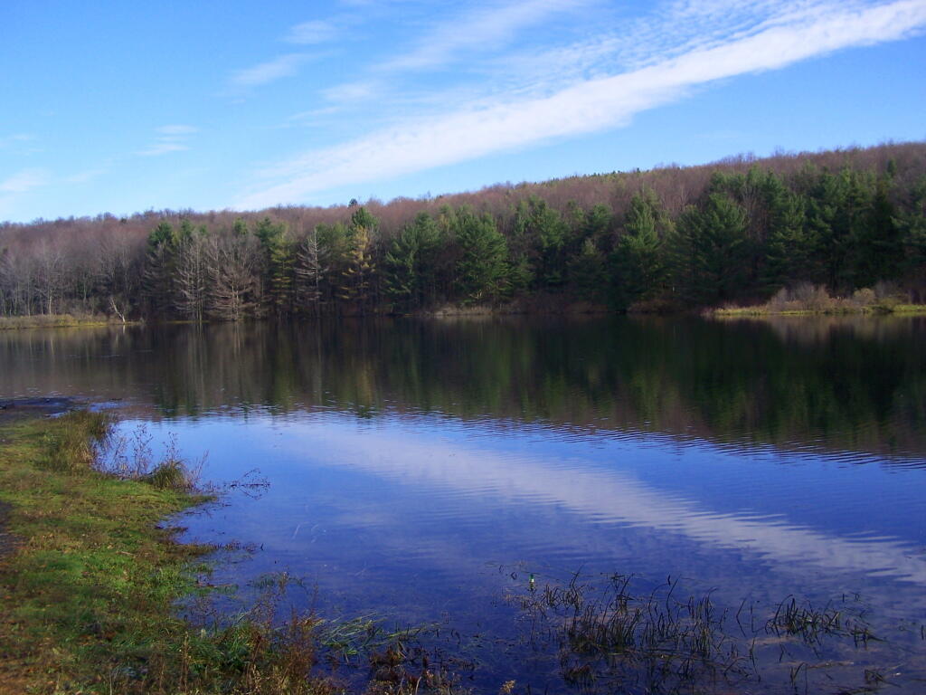 Photo: Stoney Pond Photo: Stoney Pond