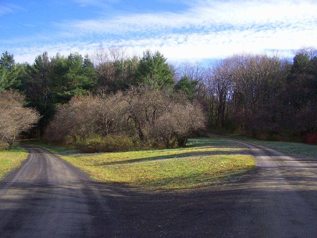 Photo: Campground Roads Photo: Campground Roads