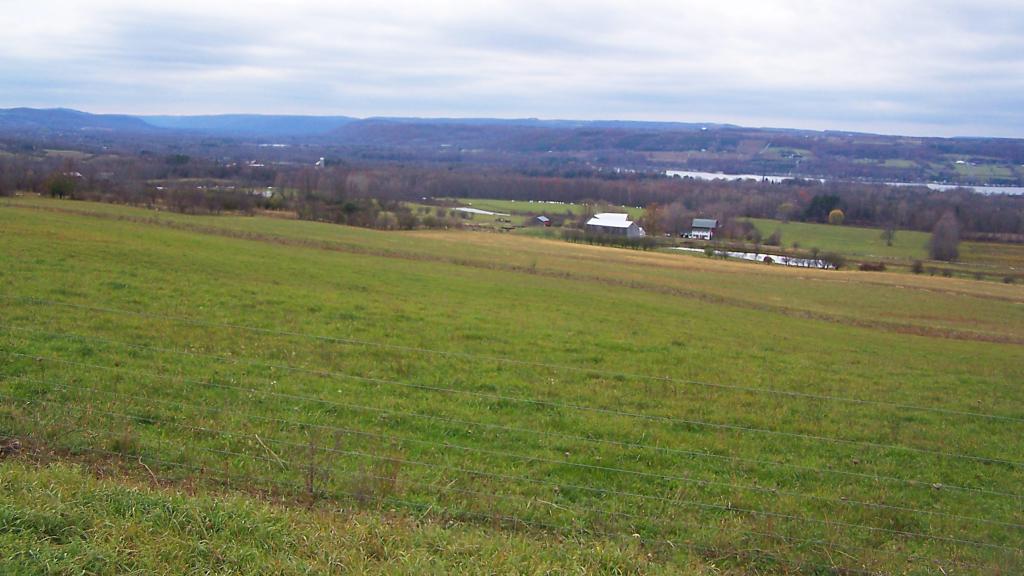 Photo: Pasture Photo: Pasture