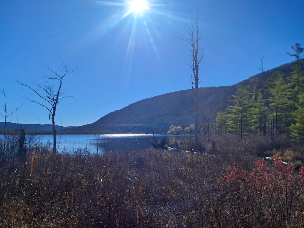 Photo: Labrador Pond Photo: Labrador Pond