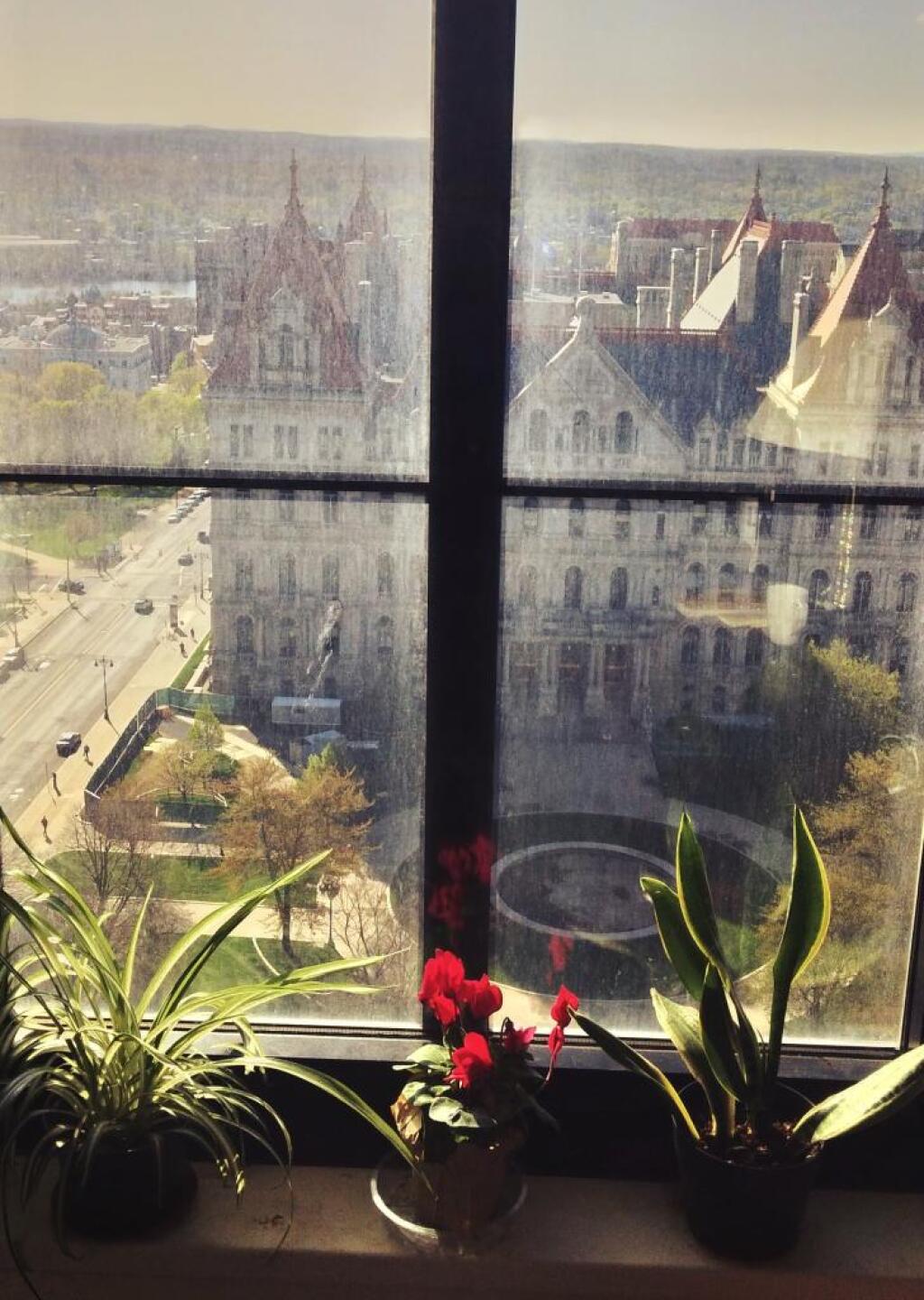 Photo: Sunny Morning in the Office Photo: Sunny Morning in the Office