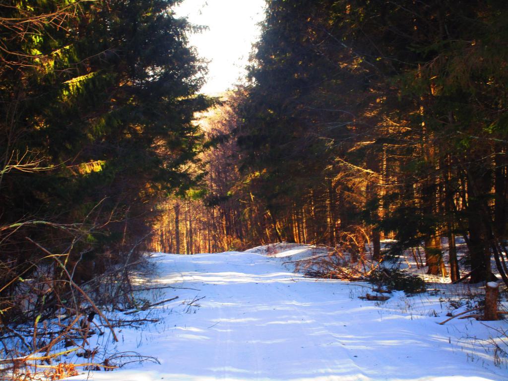 Photo: Enough Snow to Ski Photo: Enough Snow to Ski
