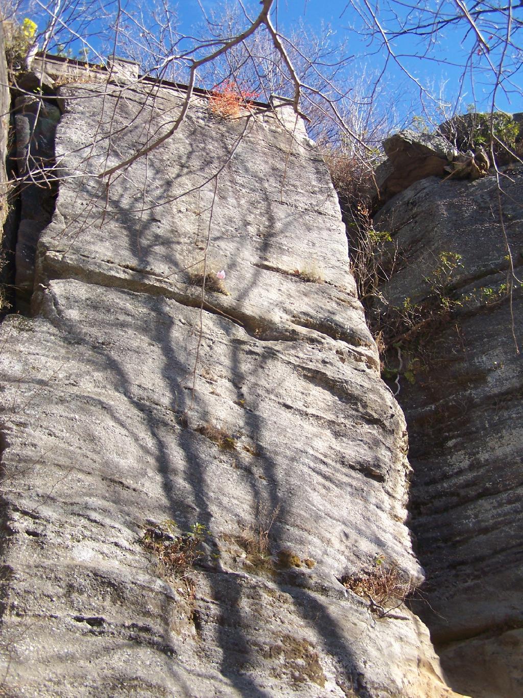 Photo: Looking Up at Rim Rock