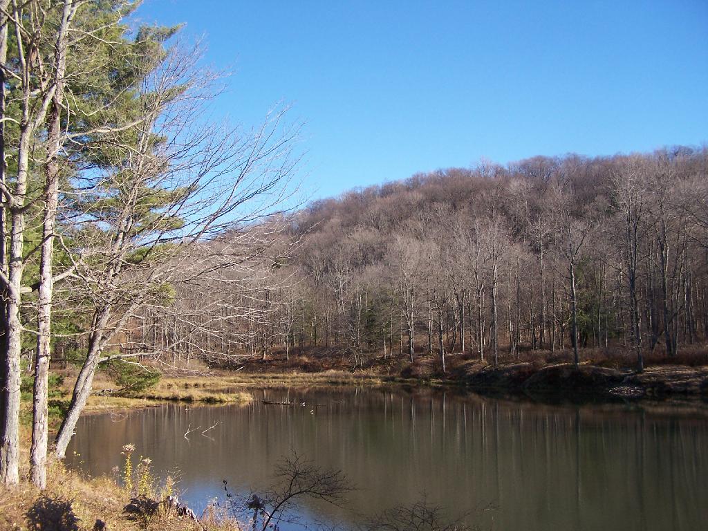Photo: Science Pond Photo: Science Pond