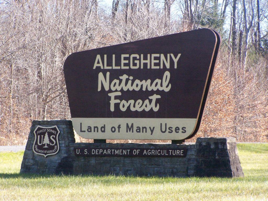 Photo: Allegany National Forest Sign