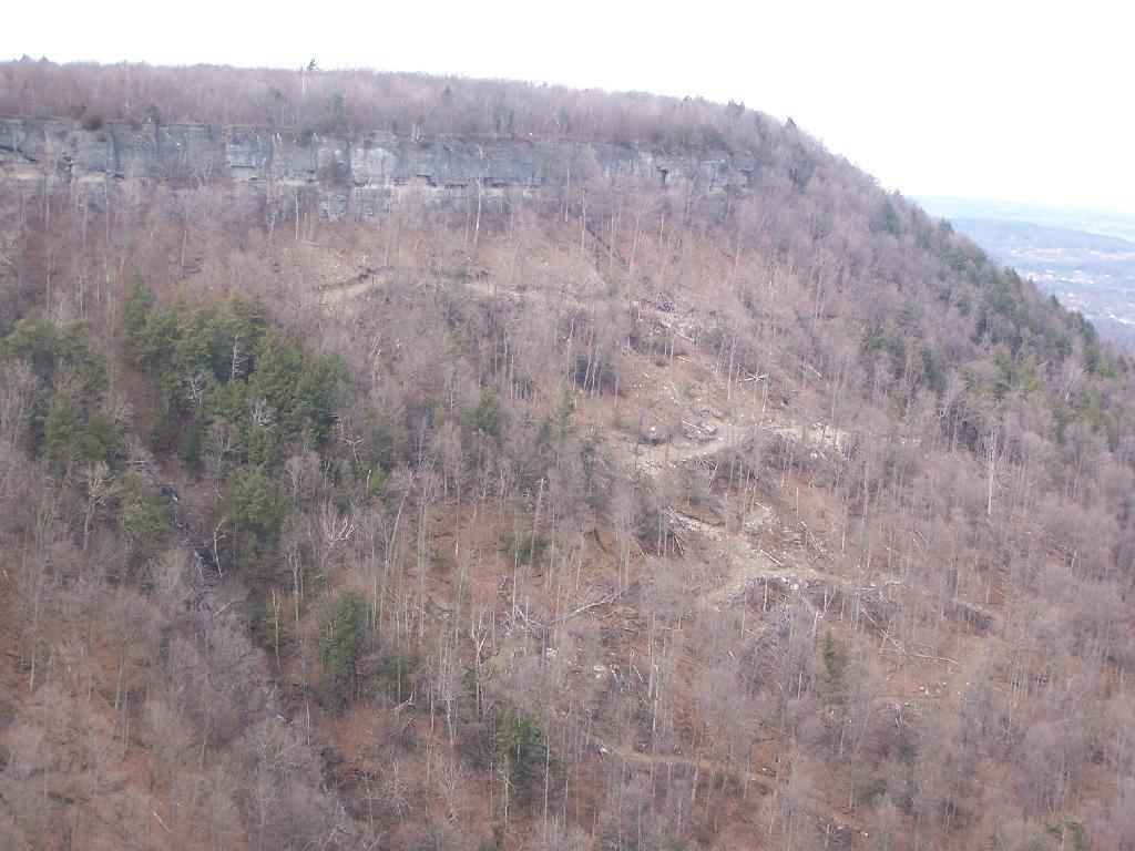 Photo: Looking Cuts Into Escarpment Photo: Looking Cuts Into Escarpment