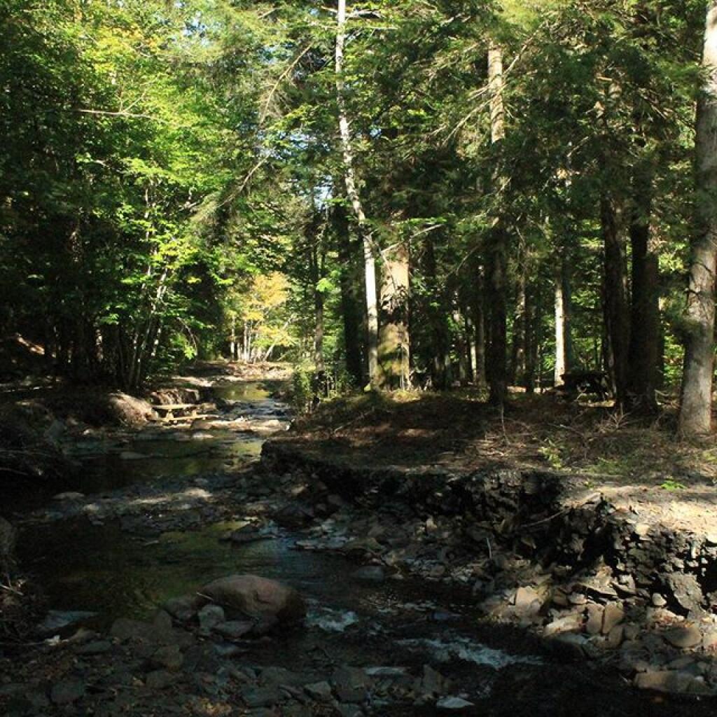 Photo: Picnic tables left on island after Whetstone Creek rerouted
