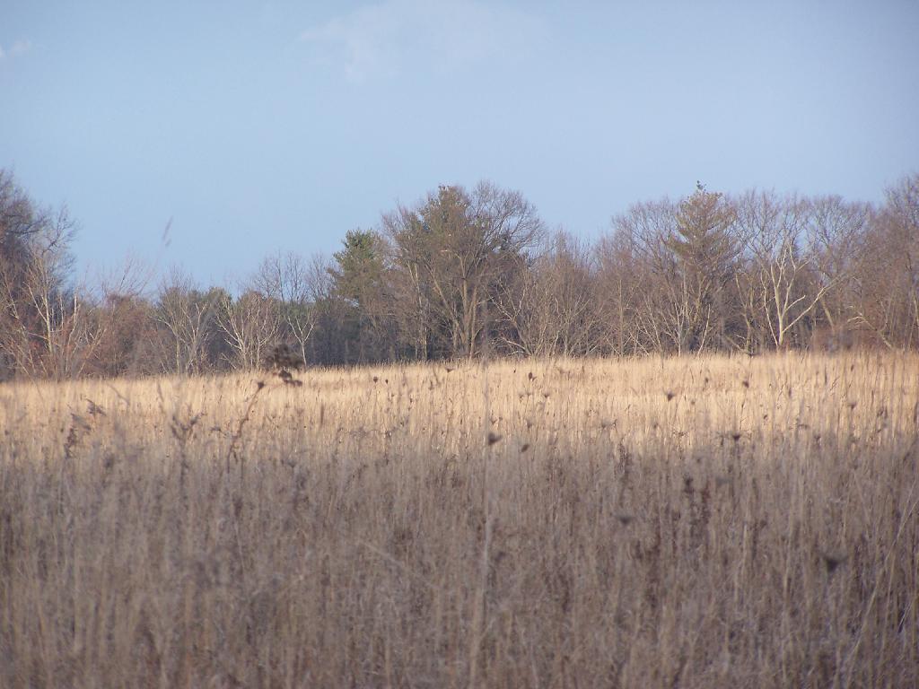 Photo: Field Photo: Field