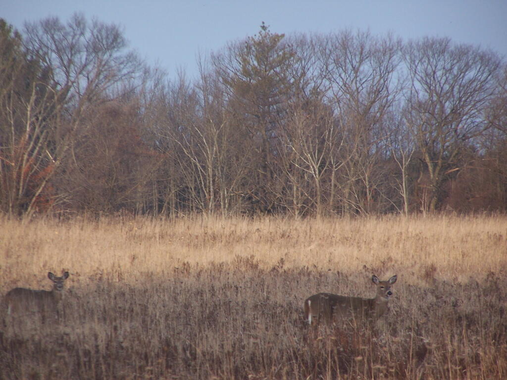 Photo: Sneaking Up On Them
