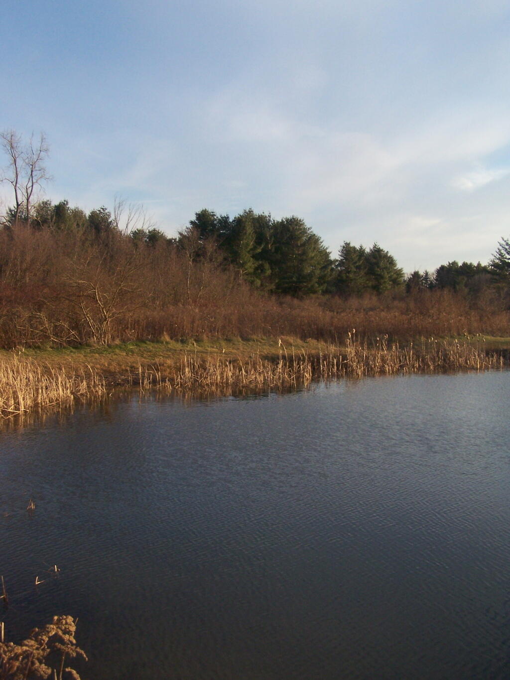 Photo: Experimental Pond Photo: Experimental Pond