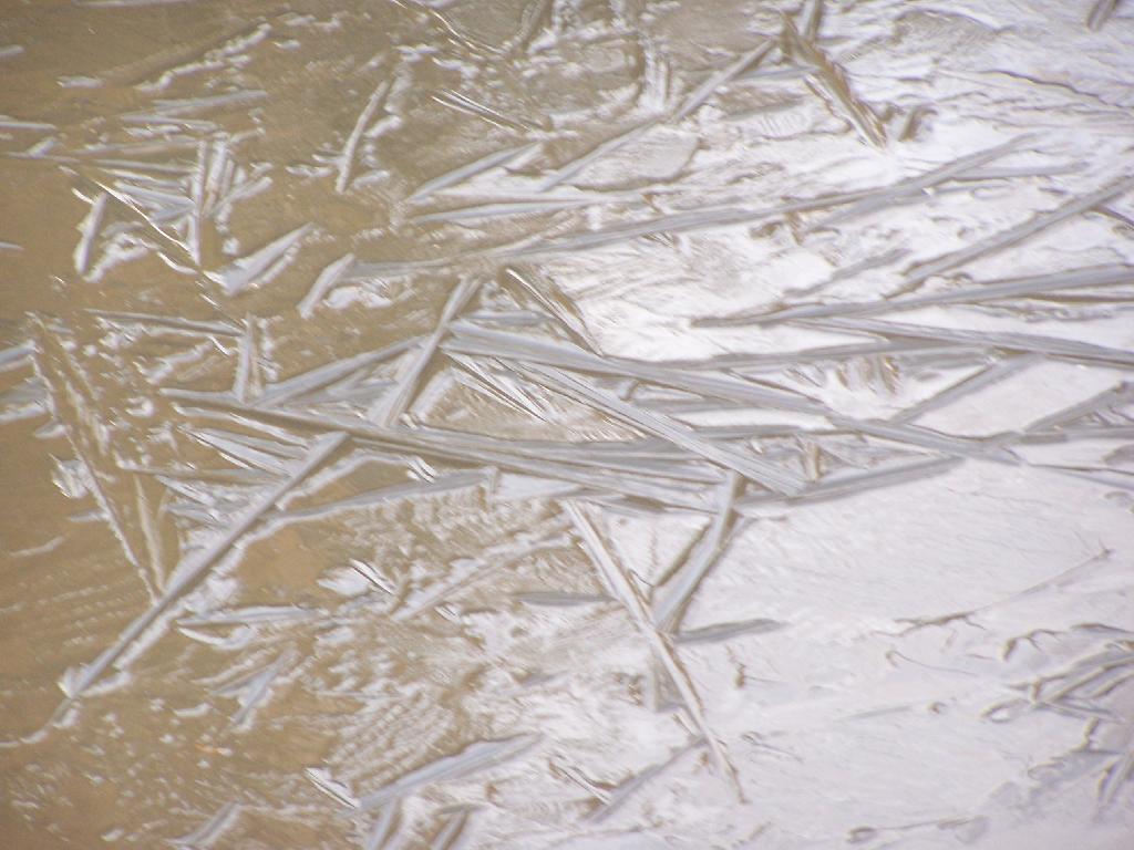 Photo: Ice on Pond