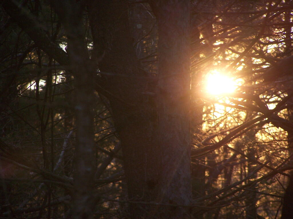 Photo: Setting Sun Photo: Setting Sun
