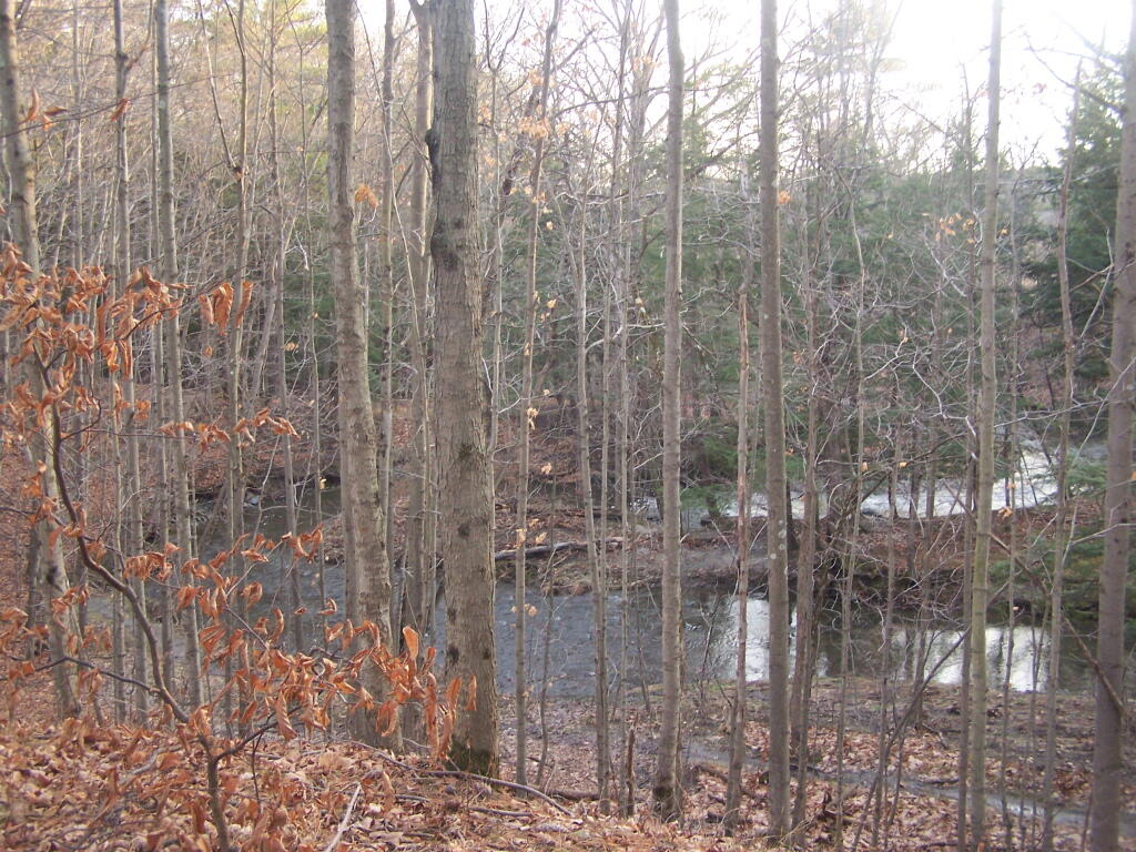 Photo: Vloman Kill Creek
