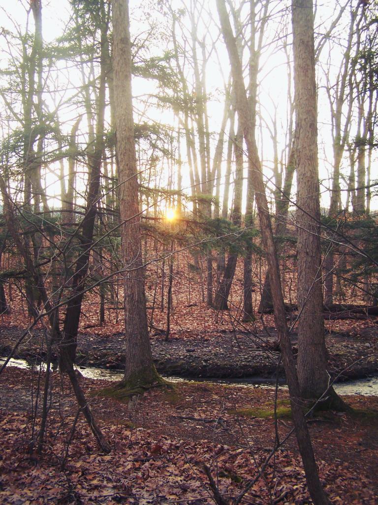 Photo: Sunset Over Vloman Kill