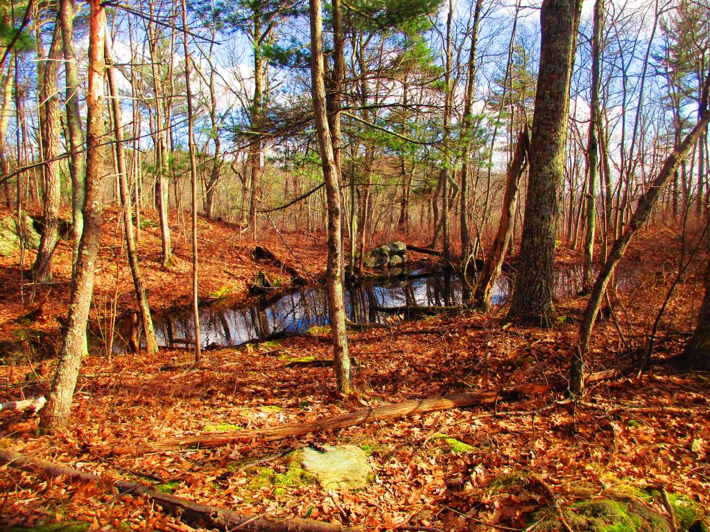 Photo: Peepers Photo: Peepers