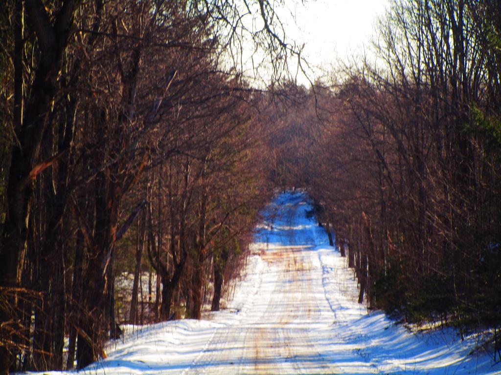 Photo: CCC Road