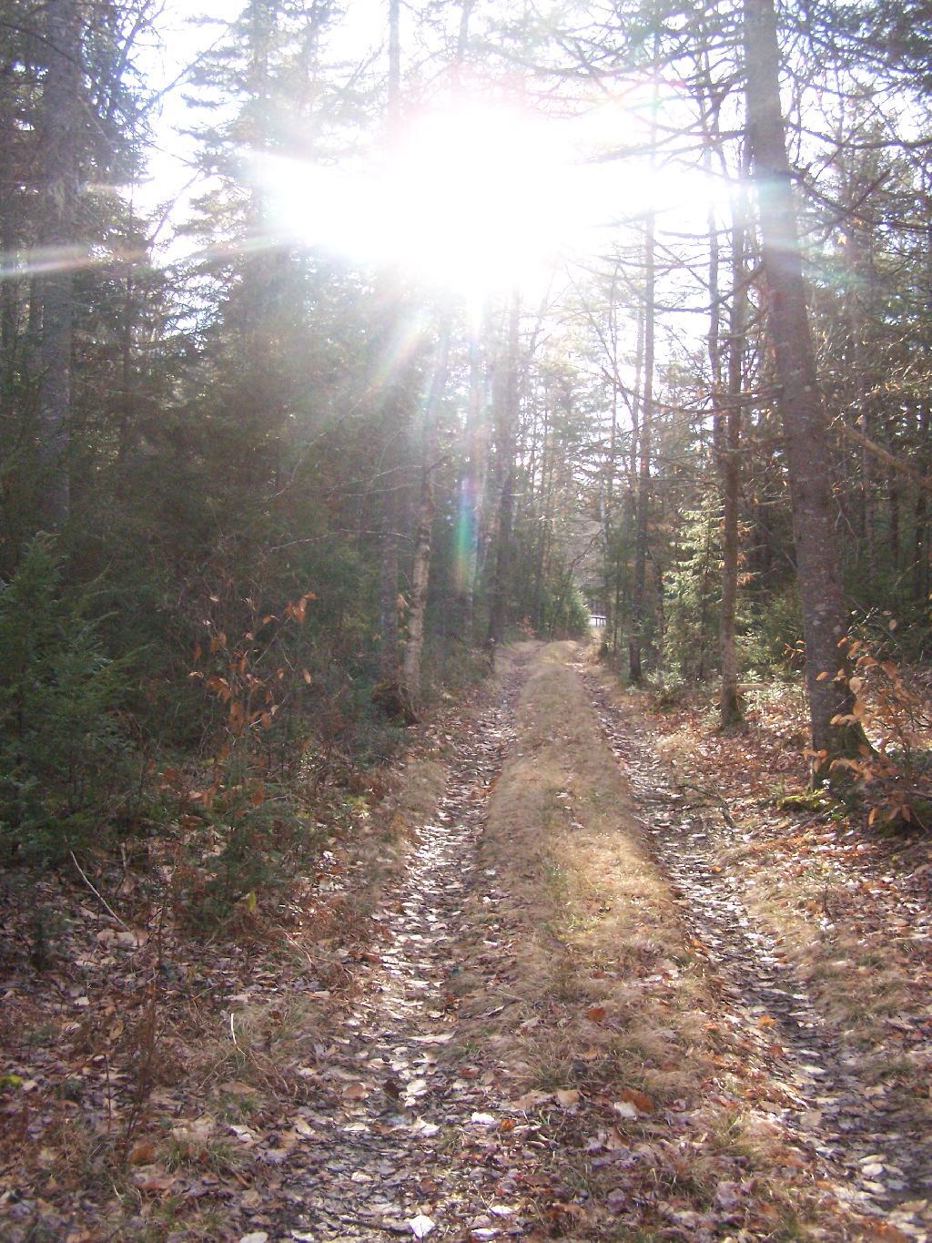 Photo: Campsite Route to NY 8