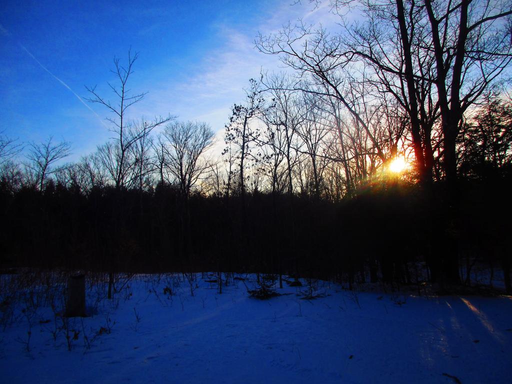 Photo: Sunrise