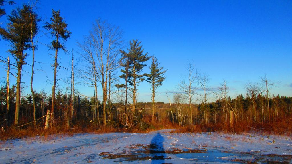 Photo: Hill Above Camp Cass