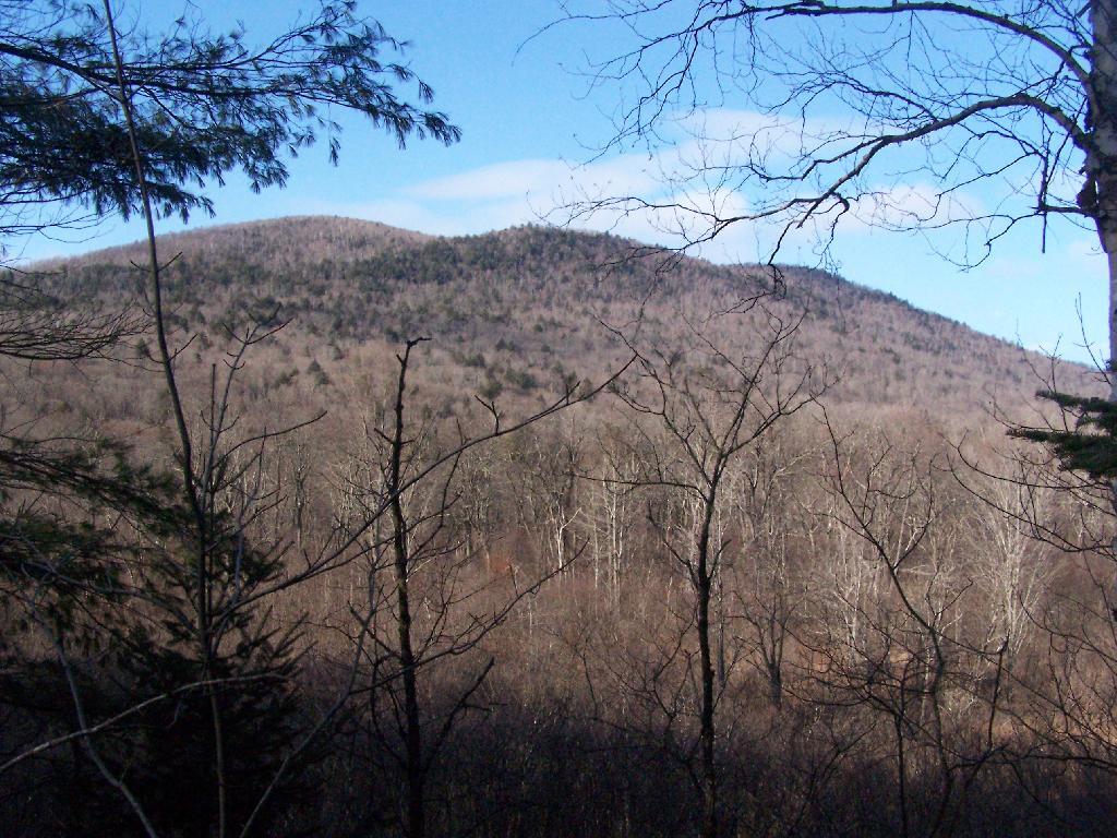 Photo: Blue Hills Photo: Blue Hills