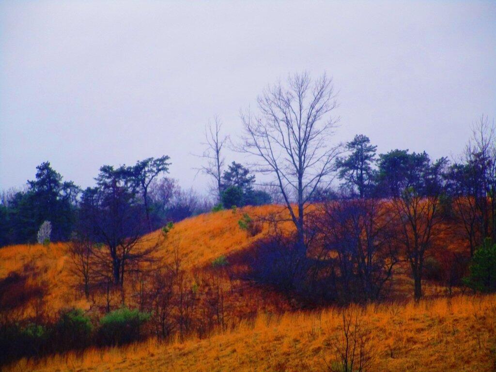 Photo: Dreary