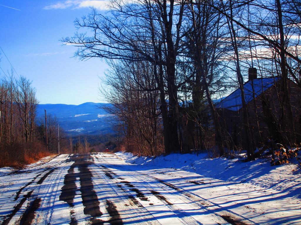Photo: Scutt Road