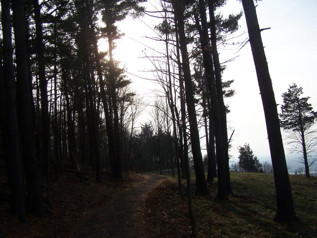 Photo: Along the Ridge Path