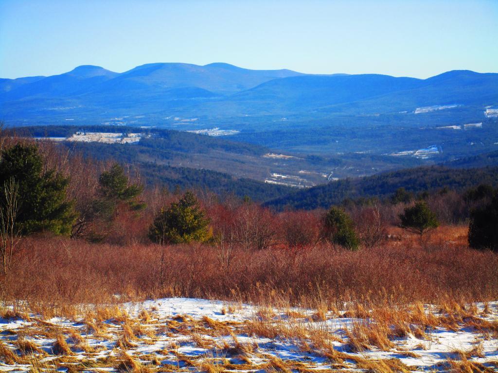 Photo: OSI Lands and Catskills