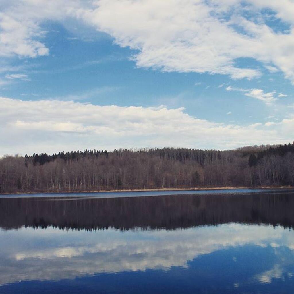 Photo: Basswood Pond in Burlington Photo: Basswood Pond in Burlington