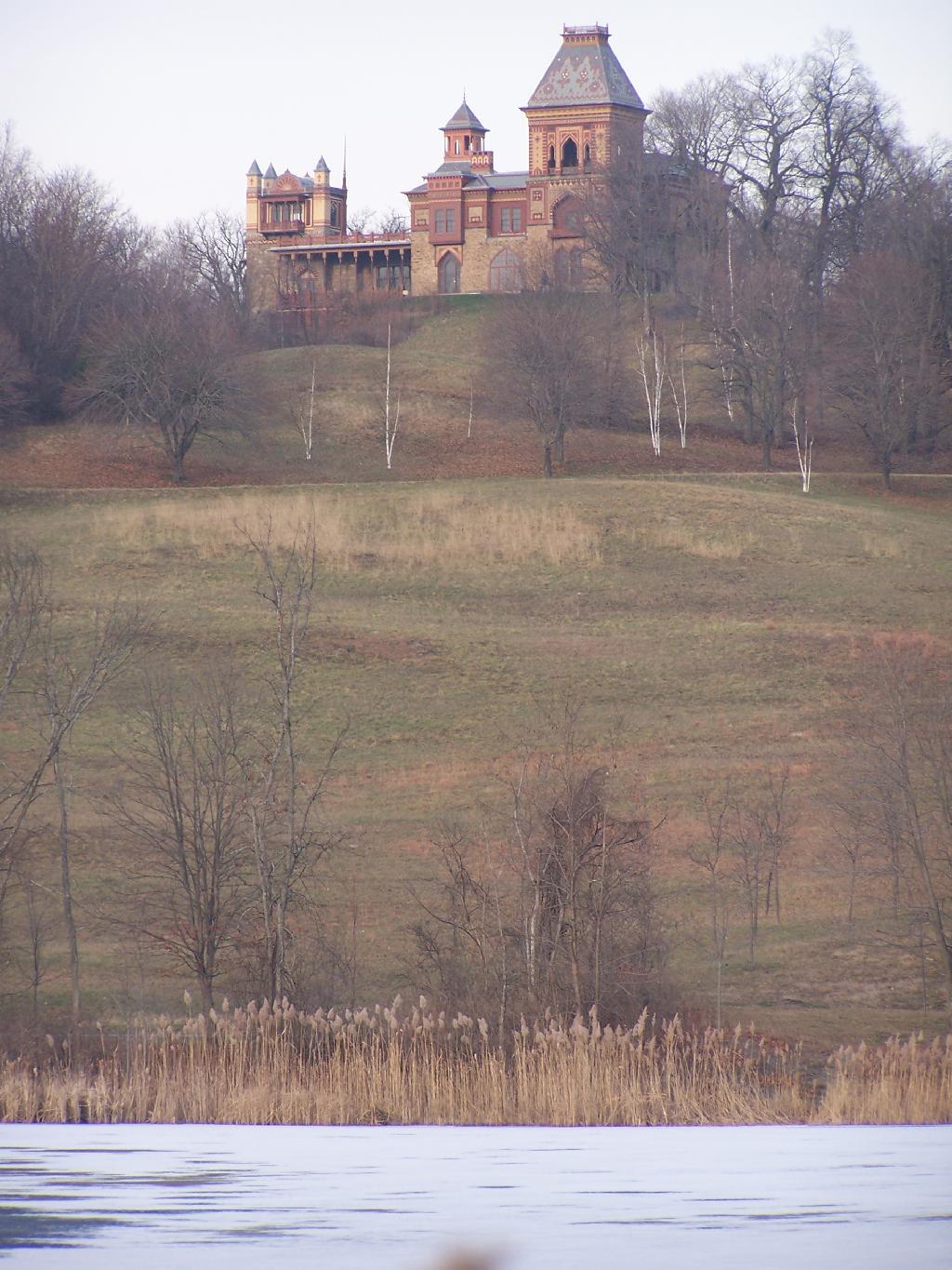 Photo: Overlooking the Pond