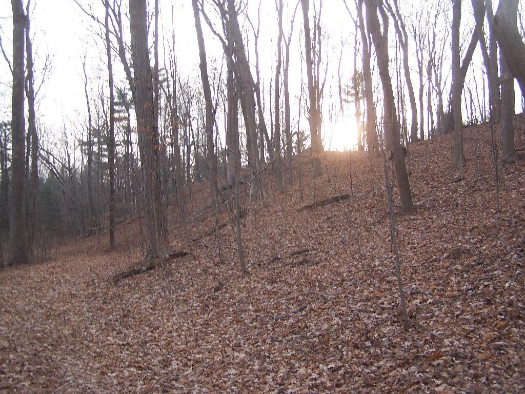 Photo: Sun Over Hill Photo: Sun Over Hill