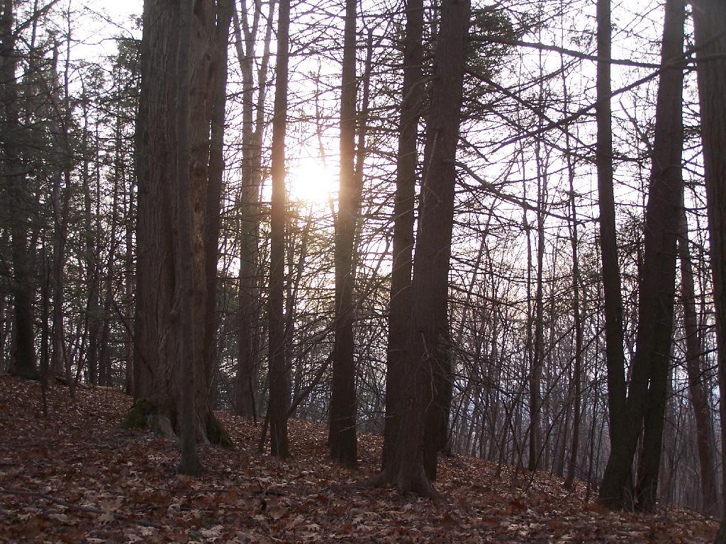 Photo: Sunset Photo: Sunset