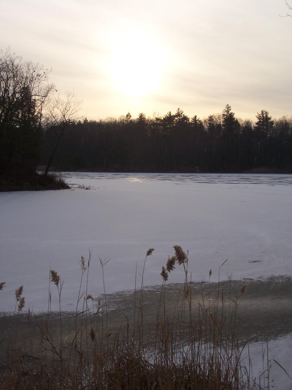 Photo: Sunset at the Pond