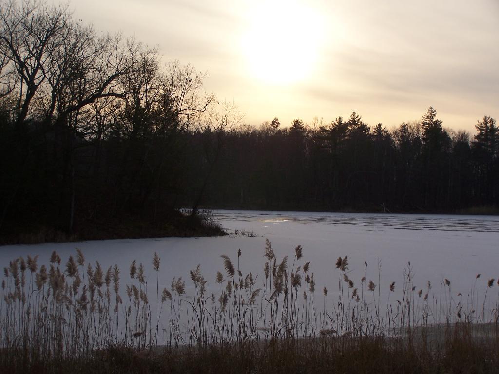 Photo: Pond